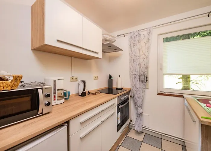 Waldpark Kraetzersrasen * Steinbach (Wartburgkreis)