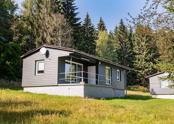 Ferienhaus Waldpark Krätzersrasen Steinbach (Wartburgkreis)